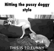 doggystyle porn gif|Doggystyle NSFW GIFS